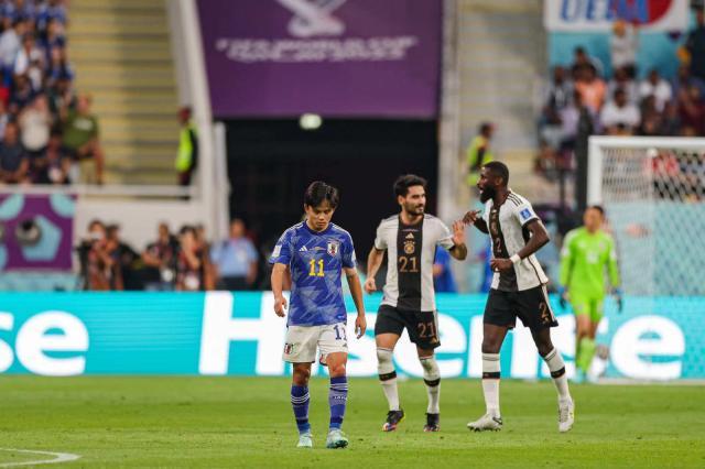 1669232082262091068.jpg 1669232082262091068.jpg